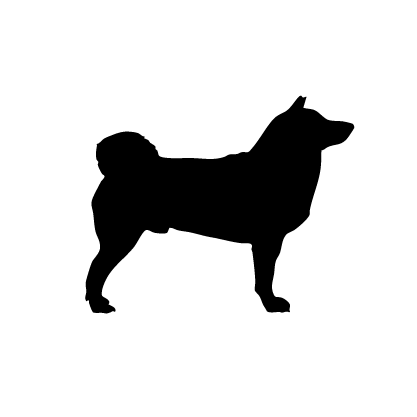 Akita
