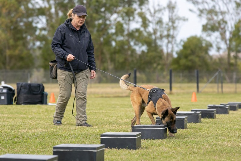 Detection Dog Handler Training