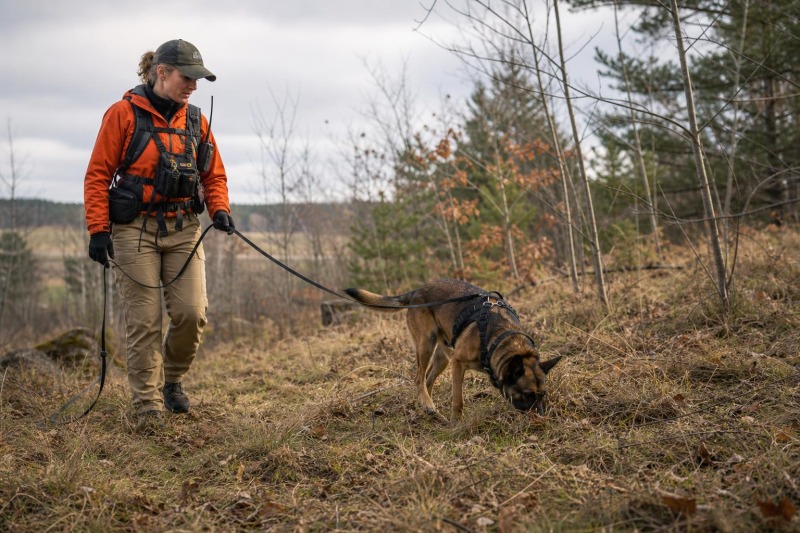 Human Remains Detection Dogs