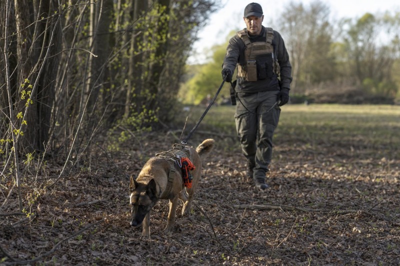 SAR Dog Certifications and Testing