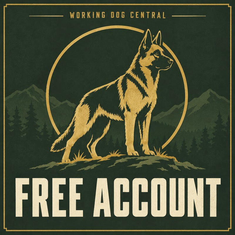 Free Account